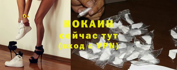 соль ск Алзамай