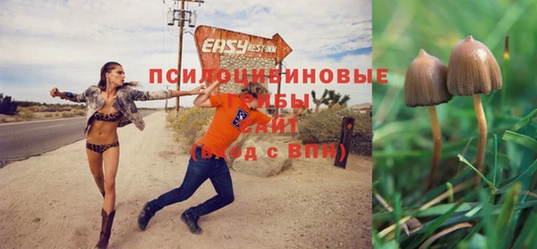 соль ск Алзамай
