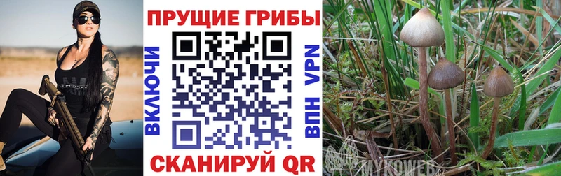 Галлюциногенные грибы мухоморы  дарнет шоп  Большой Камень 