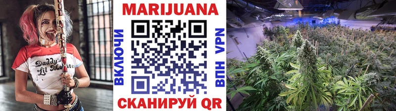 Конопля семена  как найти закладки  Большой Камень 